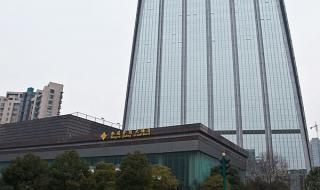 石家庄天鹅湖大酒店 石家庄天鹅湖大酒店