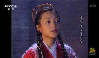 杨门女将天波府风波 杨门女将天波府风波