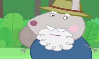 小小猪的大大爱 小小猪的大大爱