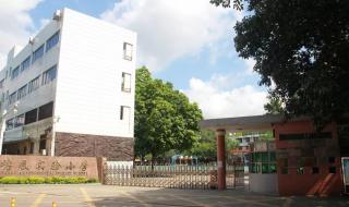 新航道雅思培训收费