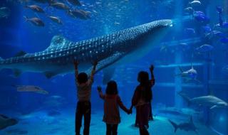 梦幻水族馆6 梦幻水族馆6