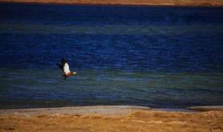 中国海拔最高的县城 中国海拔最高的县城