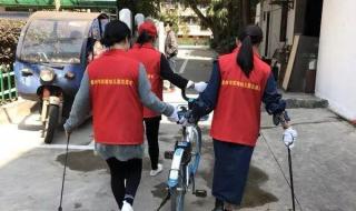 我叫红领巾 我叫红领巾