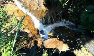 中山五桂山 中山五桂山