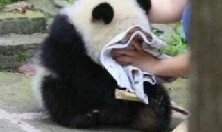 委屈的表情 委屈的表情