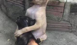 能不能让我陪着你走